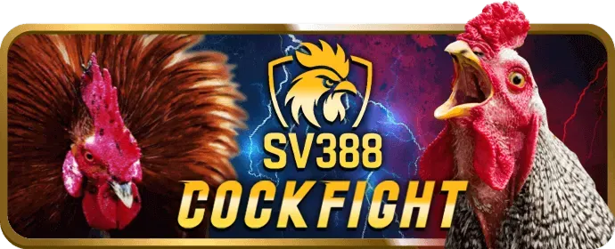 Hướng dẫn nhận khuyến mãi bj27