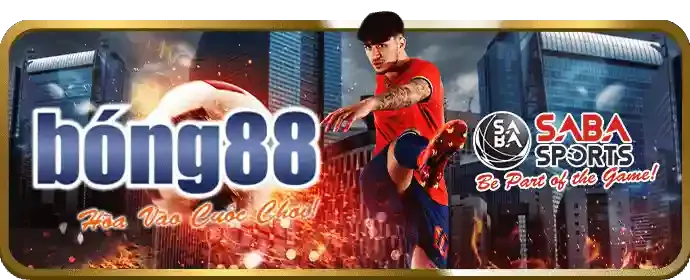 Các kênh liên hệ đa dạng của bj27